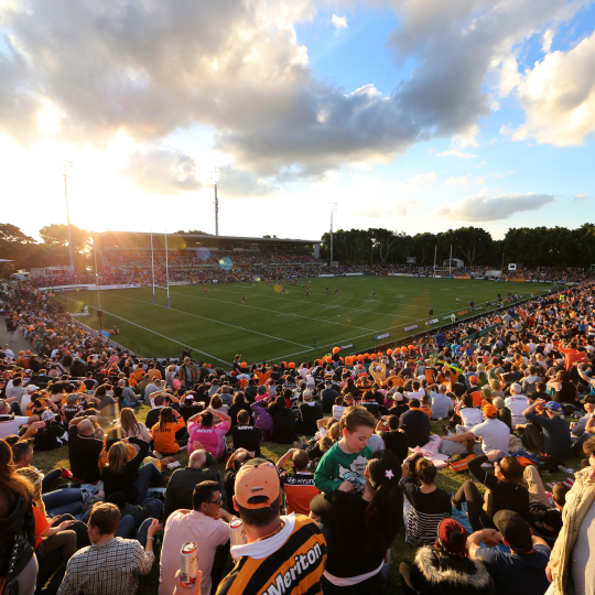 Leichhardt Oval 540